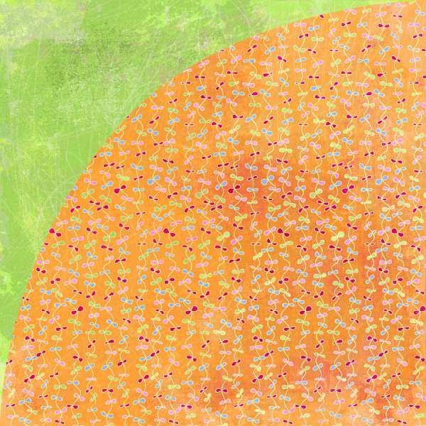 BasicGrey Sugar Rush Orange Slices