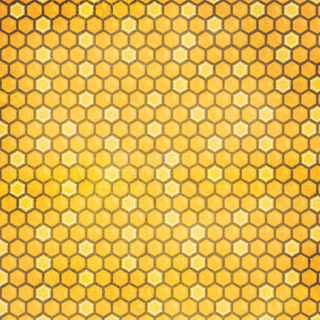 Bo Bunny Bee-utiful You Honeycomb