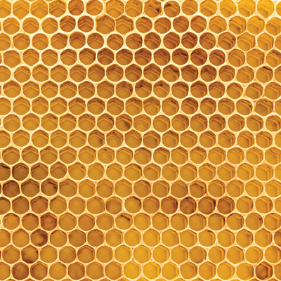 Ella & Viv 100% Natural Honeycomb