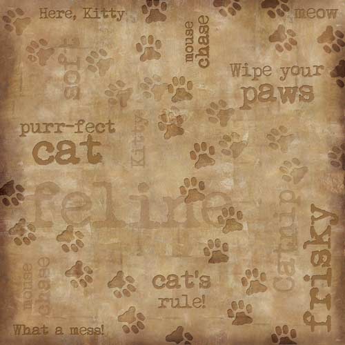 Karen Foster Cats Cat Tracks