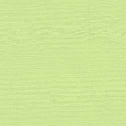 My Colors Cardstock Canvas Lime Pop