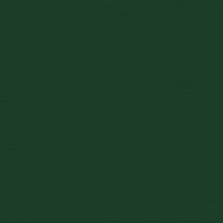 My Colors Cardstock Canvas Evergreen