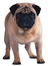 Paper House Productions Dog Pug Mini Cut Out