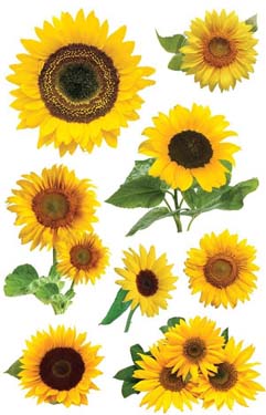Paper House Productions Sunflower 3D Sticker