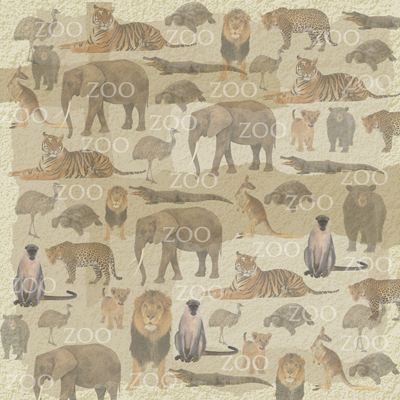 Sugartree Scrapbook Paper Zoo