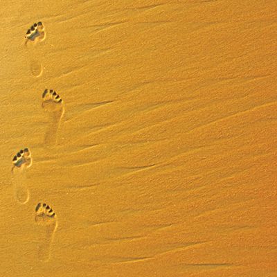 SugarTree Footprints In The Sand