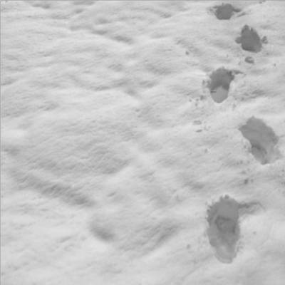 Sugartree Scrapbook Paper Snow Footprints