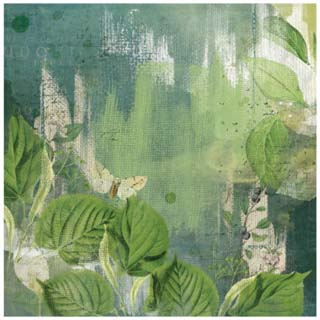 49 And Market Vintage Artistry Naturalist Rainforest