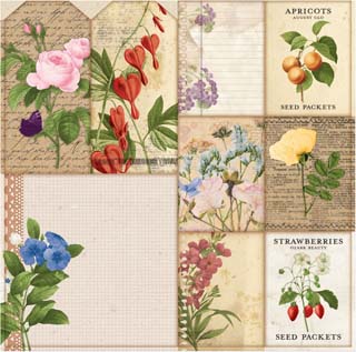 Bo Bunny Botanical Journal Packets