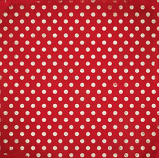 Bo Bunny Double Dot Chevron Wildberry