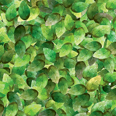 Ella & Viv Love Grows Here Secret Garden