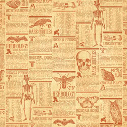 Graphic 45 Rare Oddities Frightfully Sweet