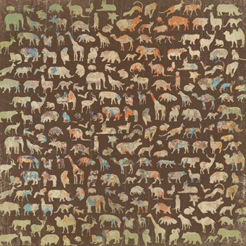 Kaisercraft Into The Wild Cheetah