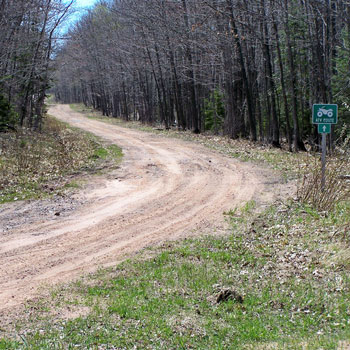 McRice Papers ATV Trail