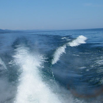 McRice Papers Boat Wake