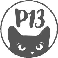 P13 logo