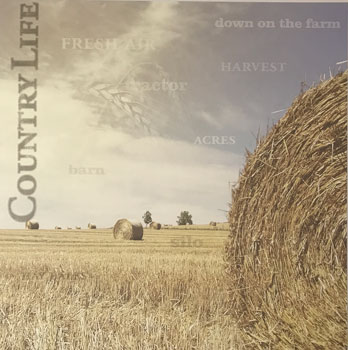 Paper House Production Farm Field Of Hay