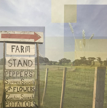 Paper House Production Farm Stand