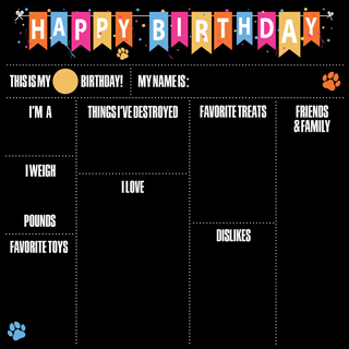 Reminisce Birthday Paws It's My Birthday