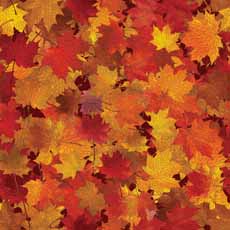 Reminisce Simply Autumn Autumn Splendor