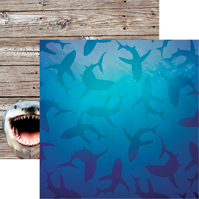 Reminisce The Shipwreck Club Shark Tank