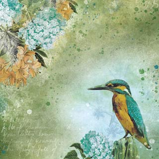 StudioLight New Awakening No. 33 Kingfish & Waterfall