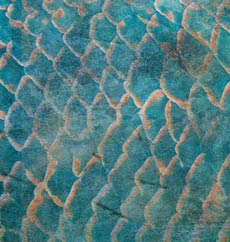 Studio Light Ocean View NR 2