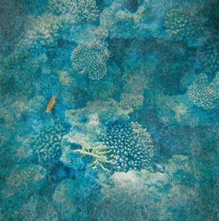 Studio Light Ocean View NR 3